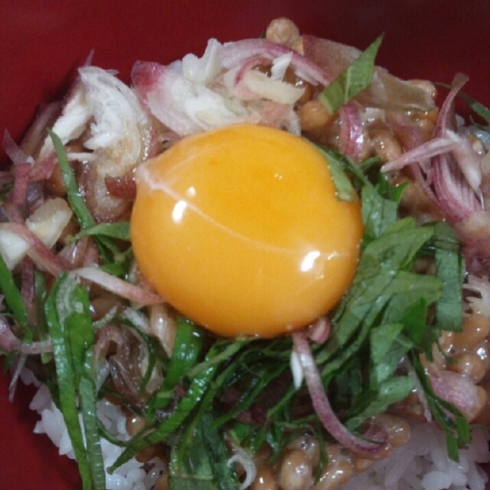 香味納豆丼